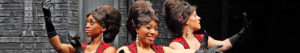 Cygnets Theatre Calendar