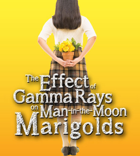 The Effect of Gamma Rays on Man-in-the-Moon Marigolds