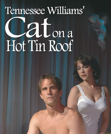 Cat on a Hot Tin Roof